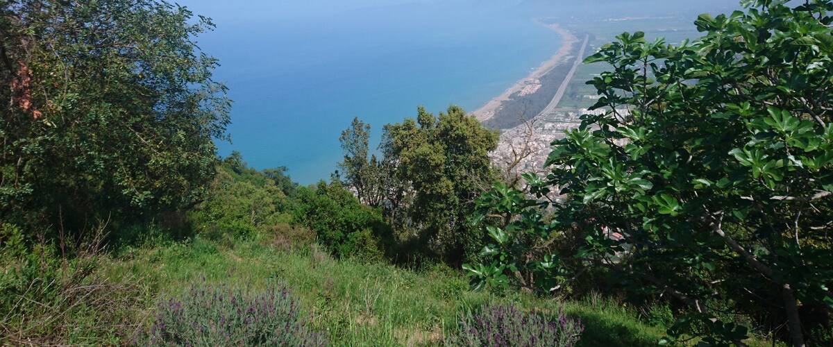 A coastal landscape with a clear view of the sea, a beach, and a city in the distance.
