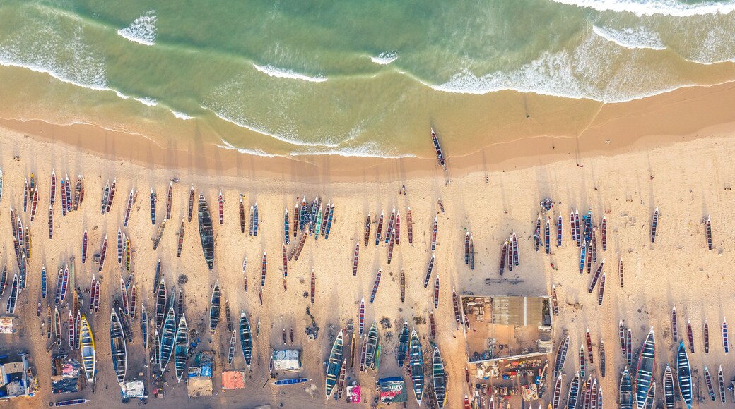 Aerial View of Green Mangrove Forest. Nature Landscape. Tropical Rainforest.