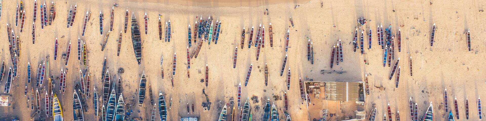 Aerial View of Green Mangrove Forest. Nature Landscape. Tropical Rainforest.