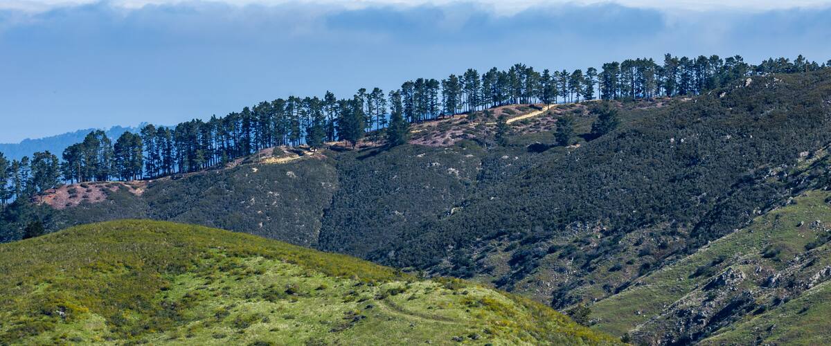 Distant view of layered green hills and Mount Toro near Soberanes Canyon Trailhead in California, with Highway 1 nearby and coastal fog hovering below the mountains.