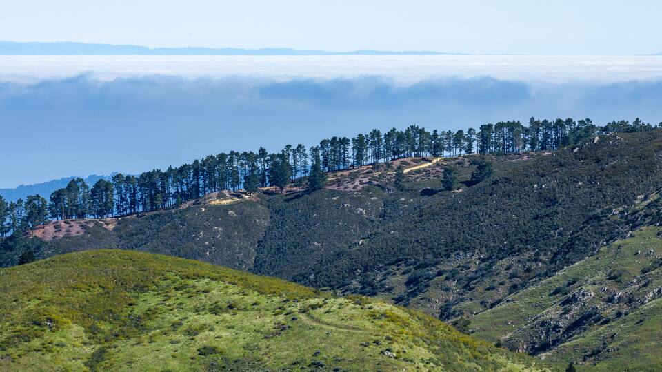 A forested mountain ridge with a clear sky above.