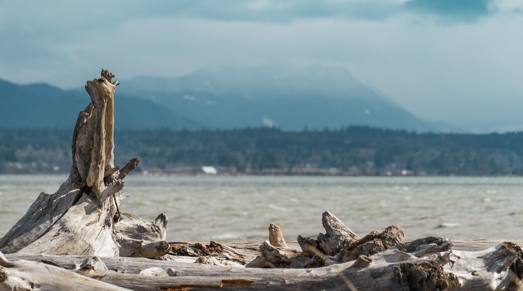 Iverson Spit on Camano Island, Washington on a winter day