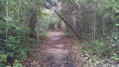 Loved this place. Absolutely tons to see. Bring bug spray, the mosquitoes will attack you!