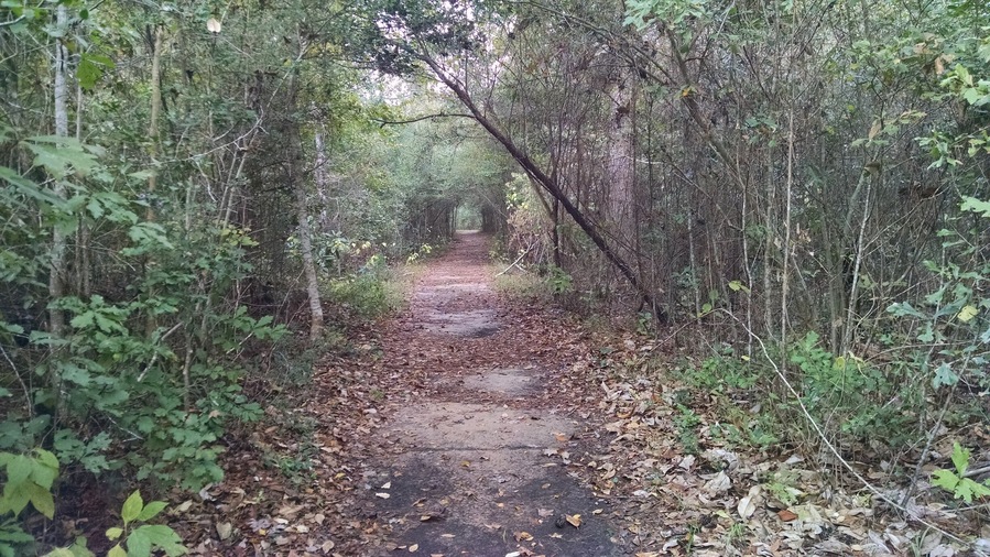 Loved this place. Absolutely tons to see. Bring bug spray, the mosquitoes will attack you!