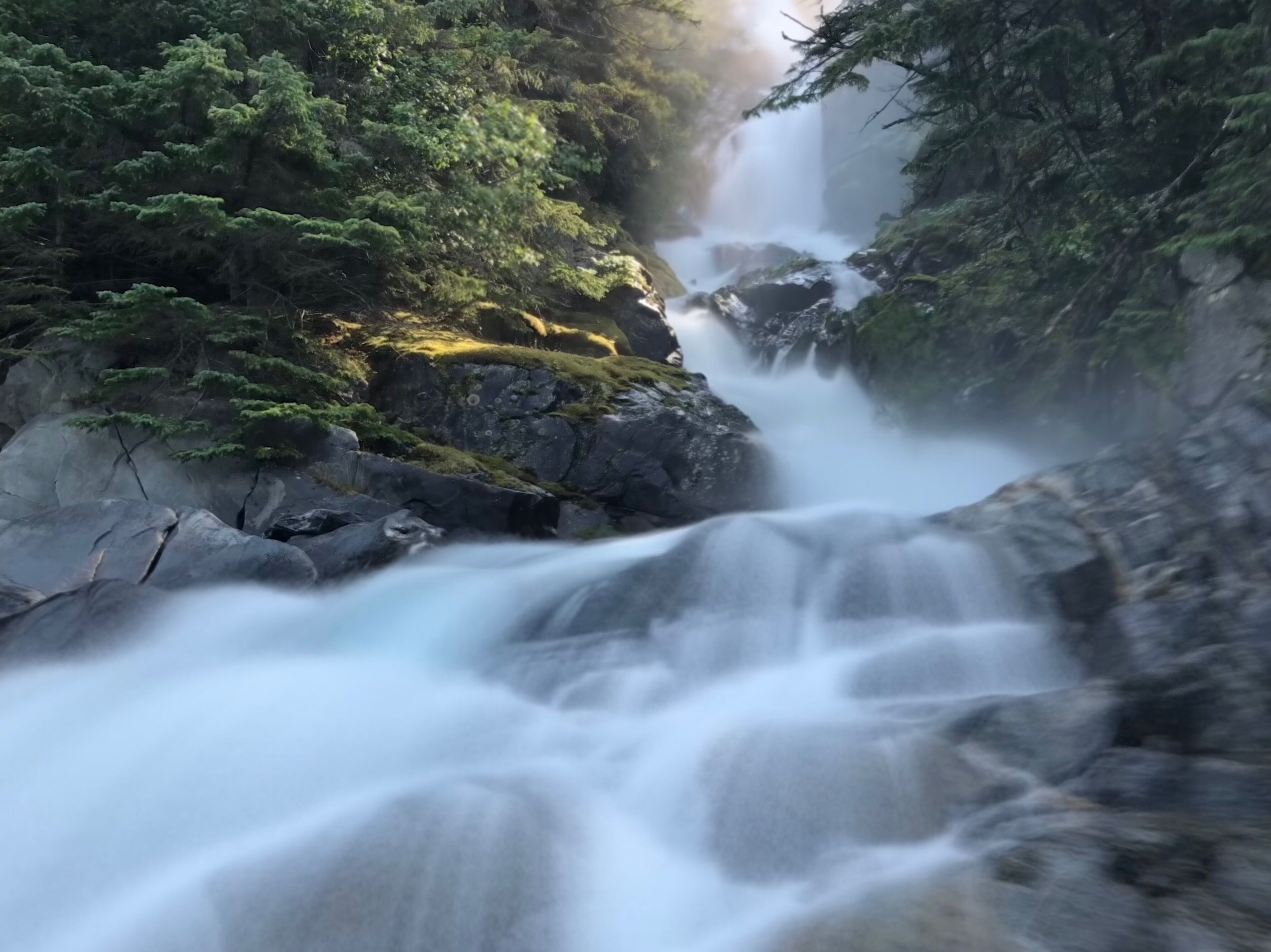 A waterfall cascading over rocks in a forested area.