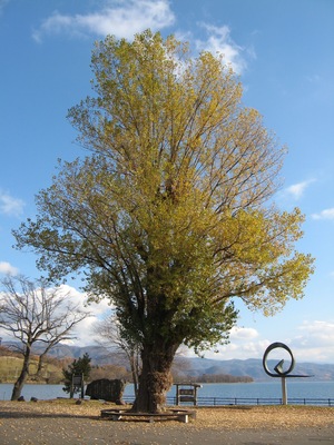 Lake Toya/洞爺湖にて