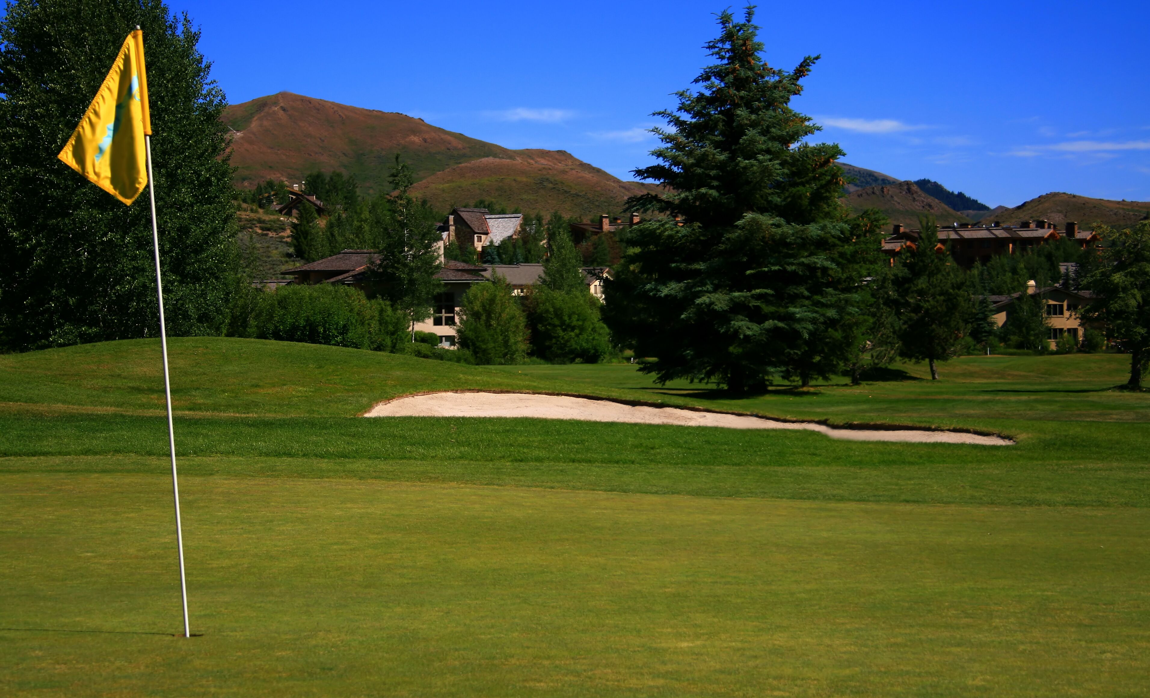 A golf course with a flag, sand bunkers, and houses in the background.