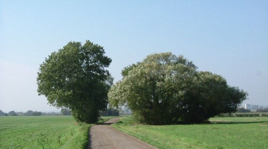 Bridleway to Butler's Farm. This is the bridle path that runs from Mucking Hall Farm to Butlers Farm. The photo was taken looking east.