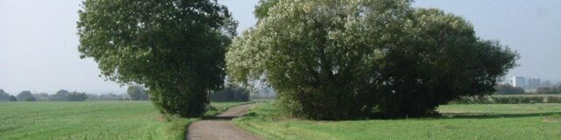 Bridleway to Butler's Farm. This is the bridle path that runs from Mucking Hall Farm to Butlers Farm. The photo was taken looking east.