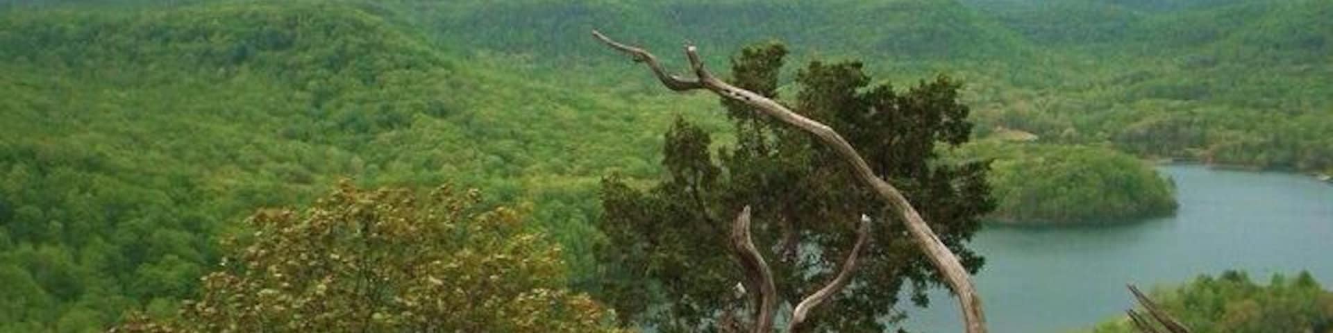 A peaceful scene a top a mountain trail .