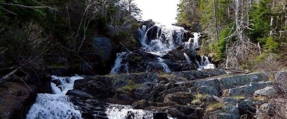 A waterfall cascading over rocks in a forested area.