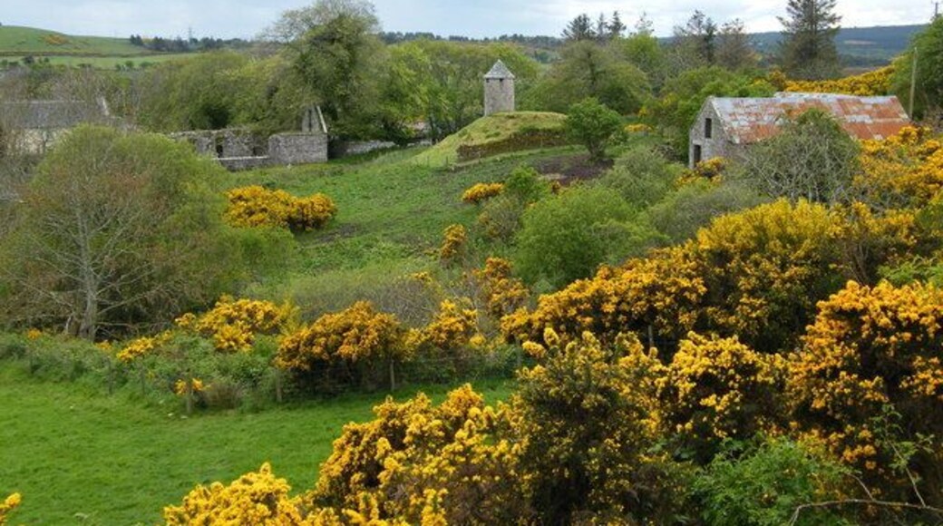 East Clyne buildings Three different buildings in various stages of repair/collapse
