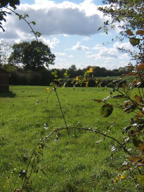 Glimpse through hedge at start of footpath, Brundish