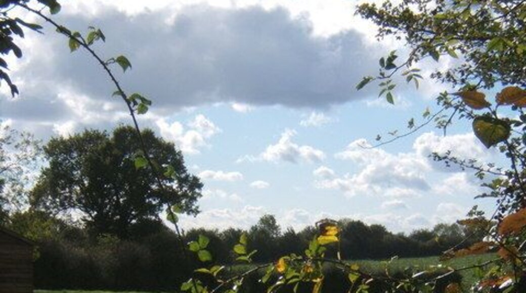 Glimpse through hedge at start of footpath, Brundish