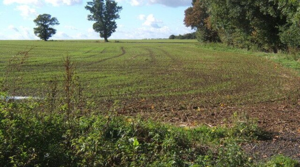 Field scene near Brundish