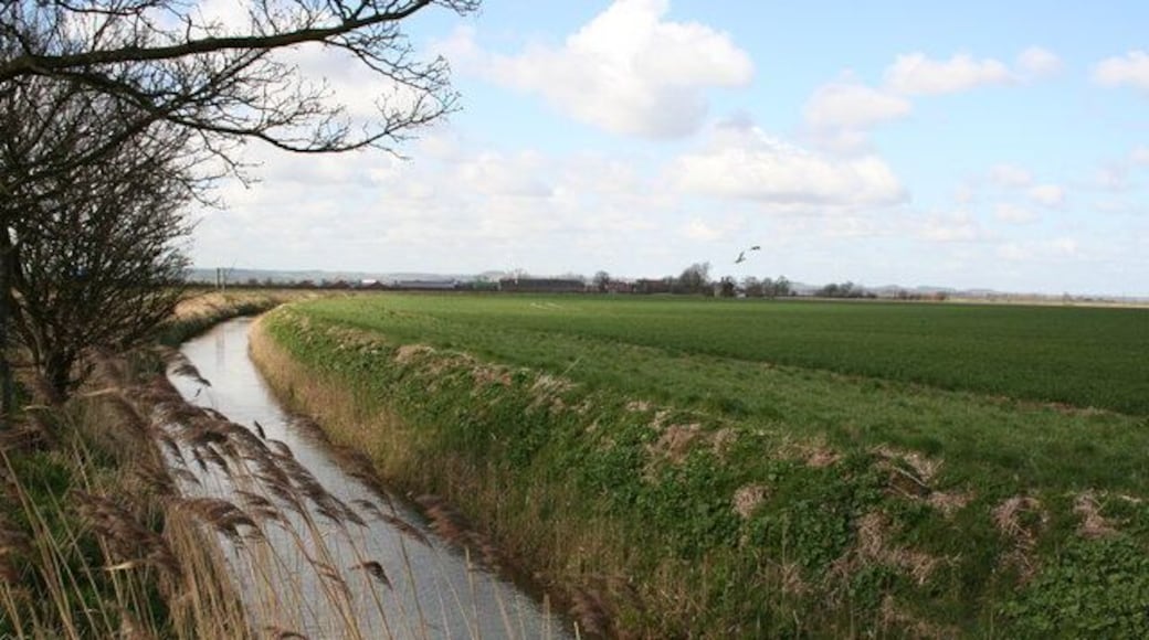 Old Fleet Drain. Looking towards Thoresby Bridge