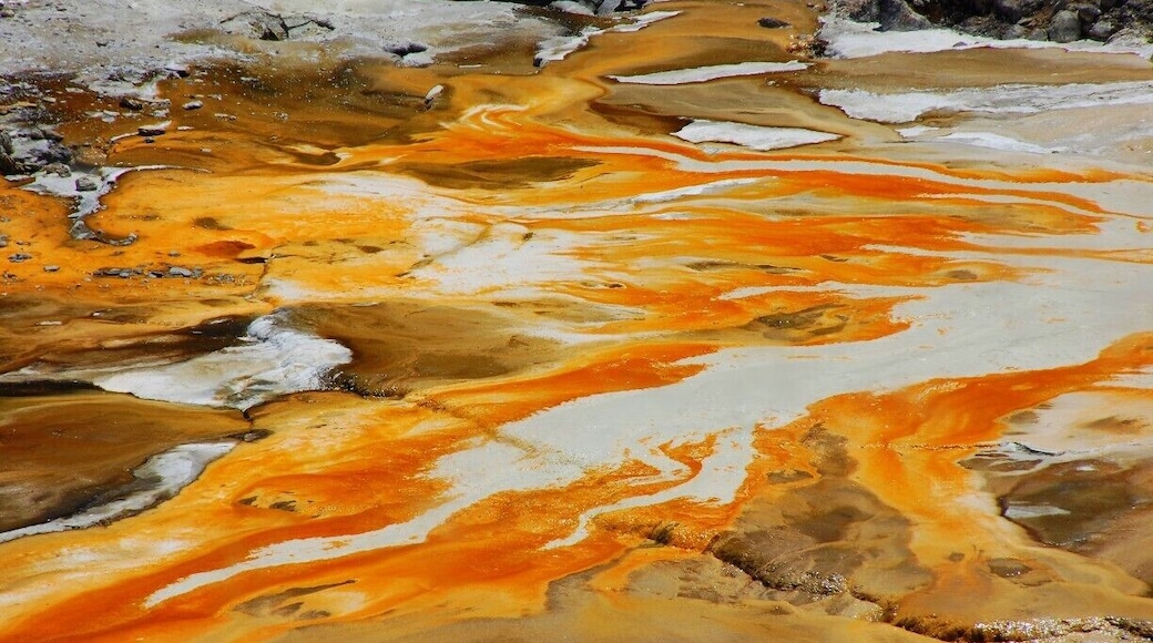 The vibrant silica terraces at the Orakei Korako geothermal park