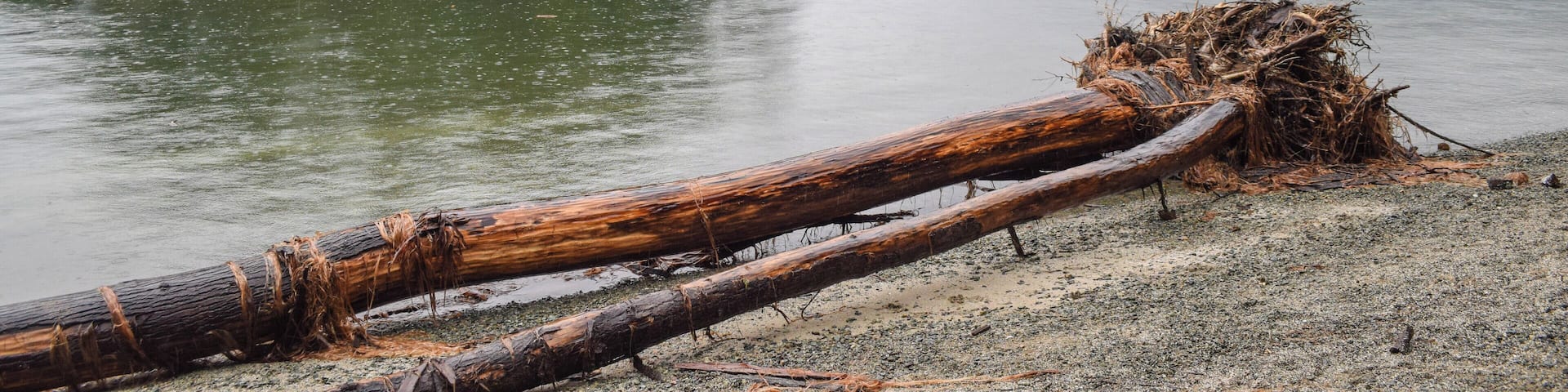 Jug Island Trail is located in Belcarra in NorthVan (Northern Vancouver), B.C. This easy out and back hike is in the Deep Cove area near Quarry Rock and offers spectacular views of the water, Jug Island, driftwood, sandy beaches, and kayakers (even in the rain in February!)
For more information on hiking and things to do in Vancouver, B.C., check out my blog post: https://culturalfoodies.com/2017/11/22/vancouver-b-c-canada/
#vancouver
#vancouverbc
#canada
#hiking
#lifeatexpedia
#outdoor
#nature
#getoutside
#upperleft
#pnw
#pacificnorthwest