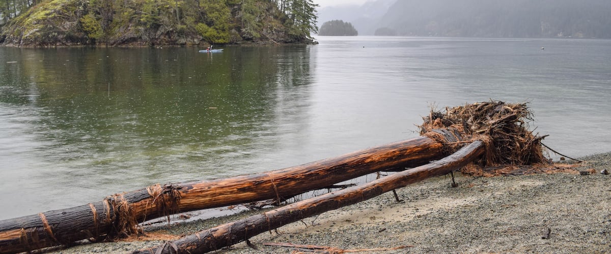 A calm lake with a forested island, a fallen log on the shore, and misty mountains in the background.