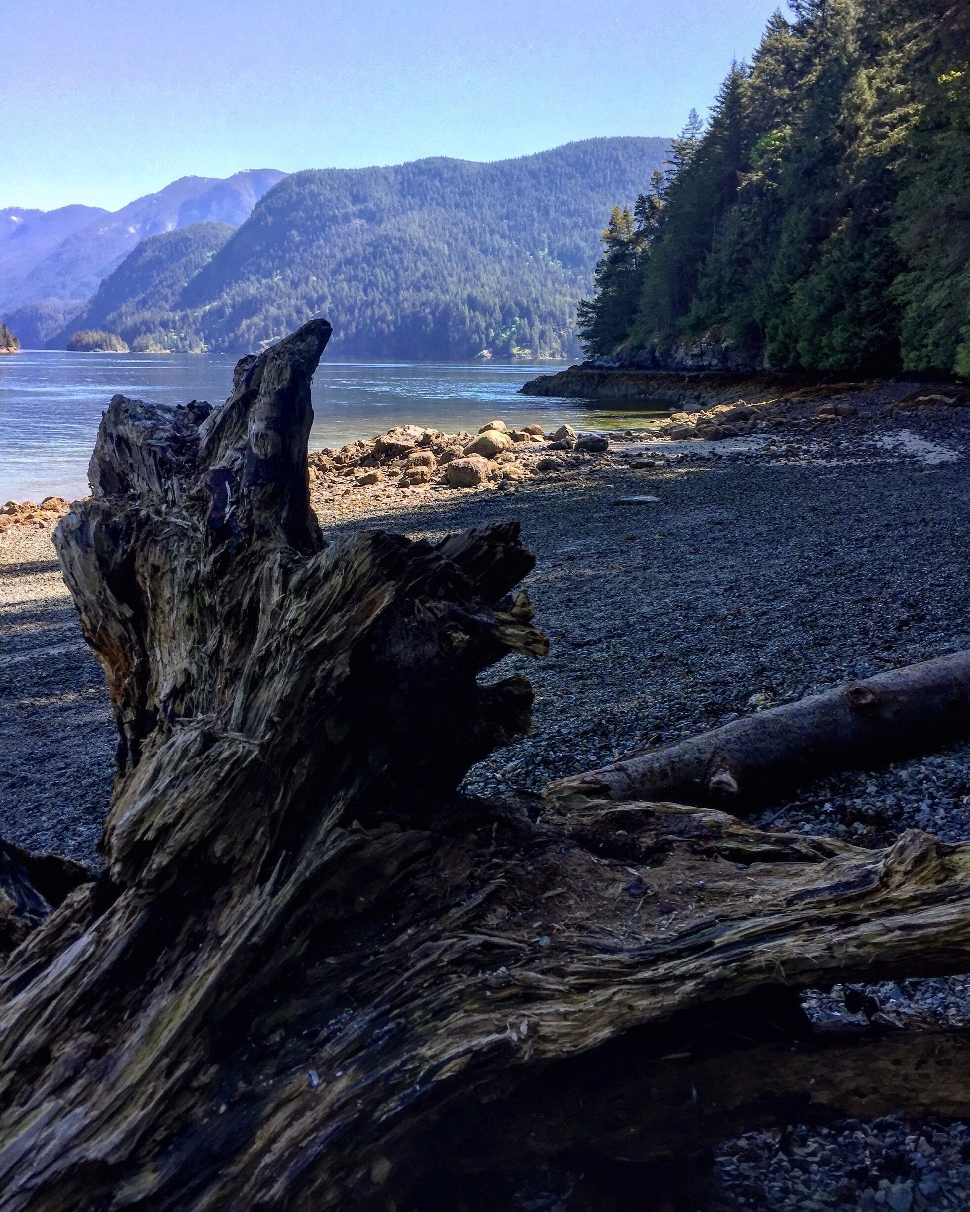 Nice little spot at the end of the trail. Great views of the Indian Arm.