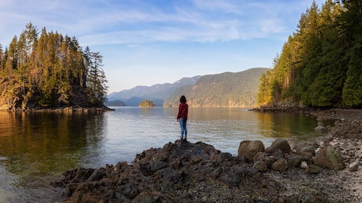 A person standing on a rocky shore with a forested island in the background and mountains in the distance.
