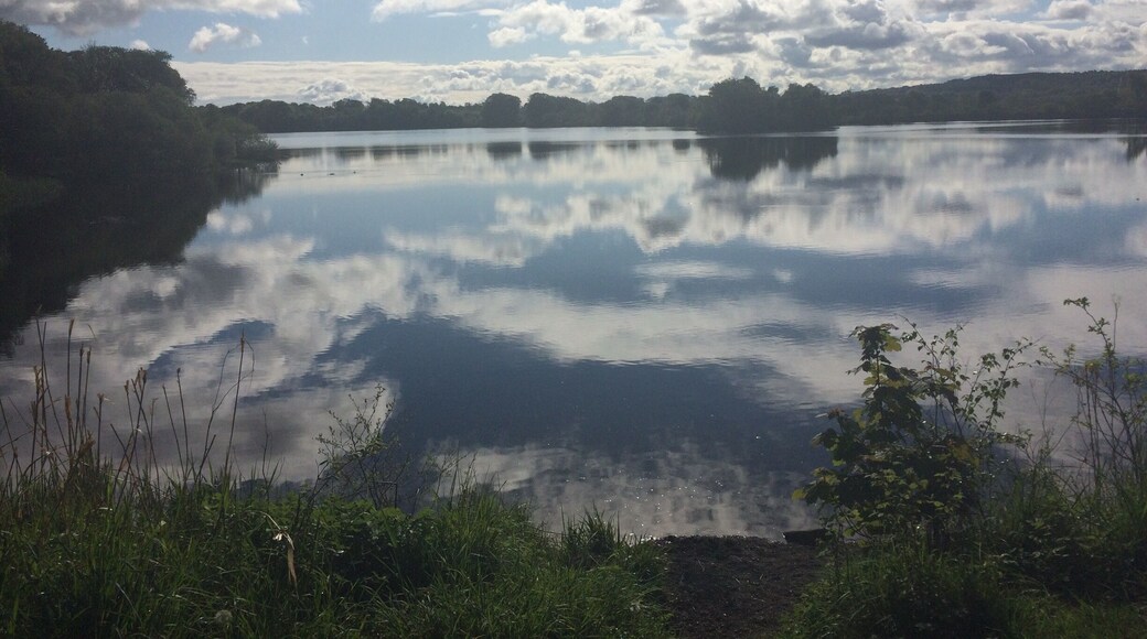 Reflections in the morning sun