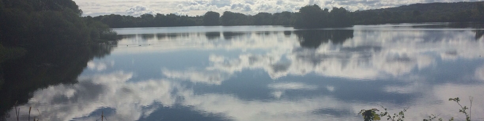 Reflections in the morning sun