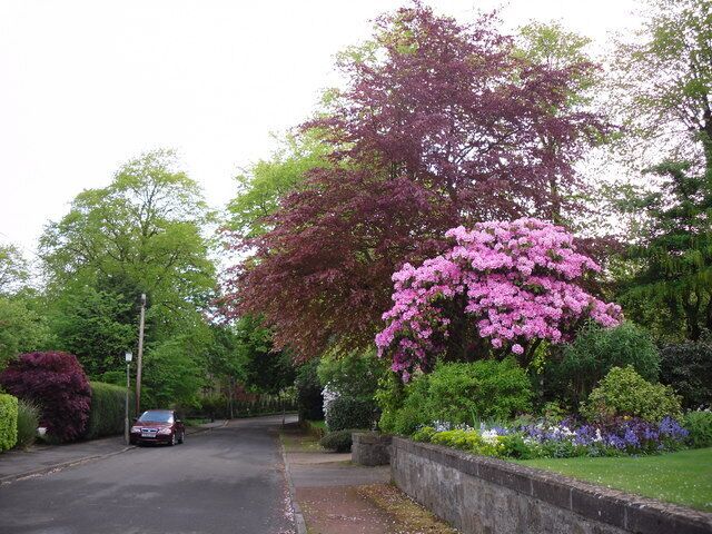Prospect Road, Dullatur