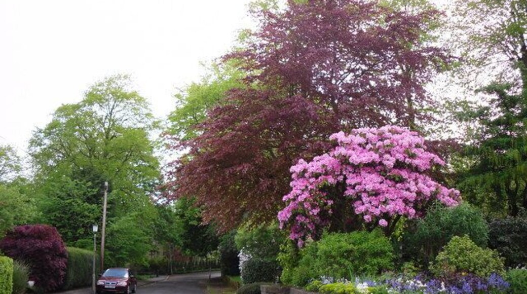 Prospect Road, Dullatur