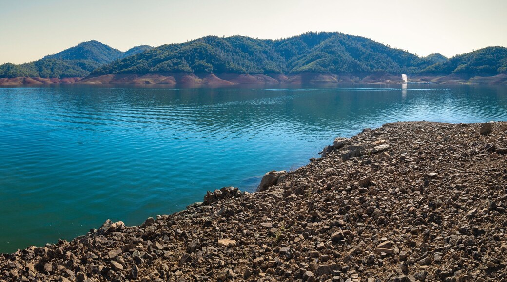 Shasta Lake at low water level with the gravel lake bed exposed in the Sacramento River, Northern California, United States, panoramic landscape with curving water’s edge