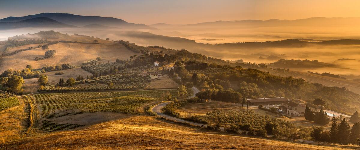 A vineyard landscape with rolling hills, mist-covered valleys, and scattered buildings.