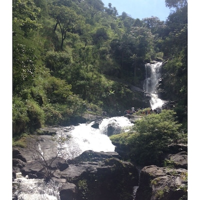 Iruppu water falls in Coorg, Karnataka, S India