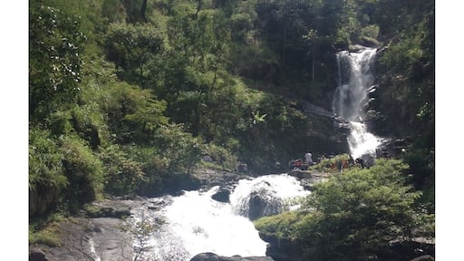 Iruppu water falls in Coorg, Karnataka, S India