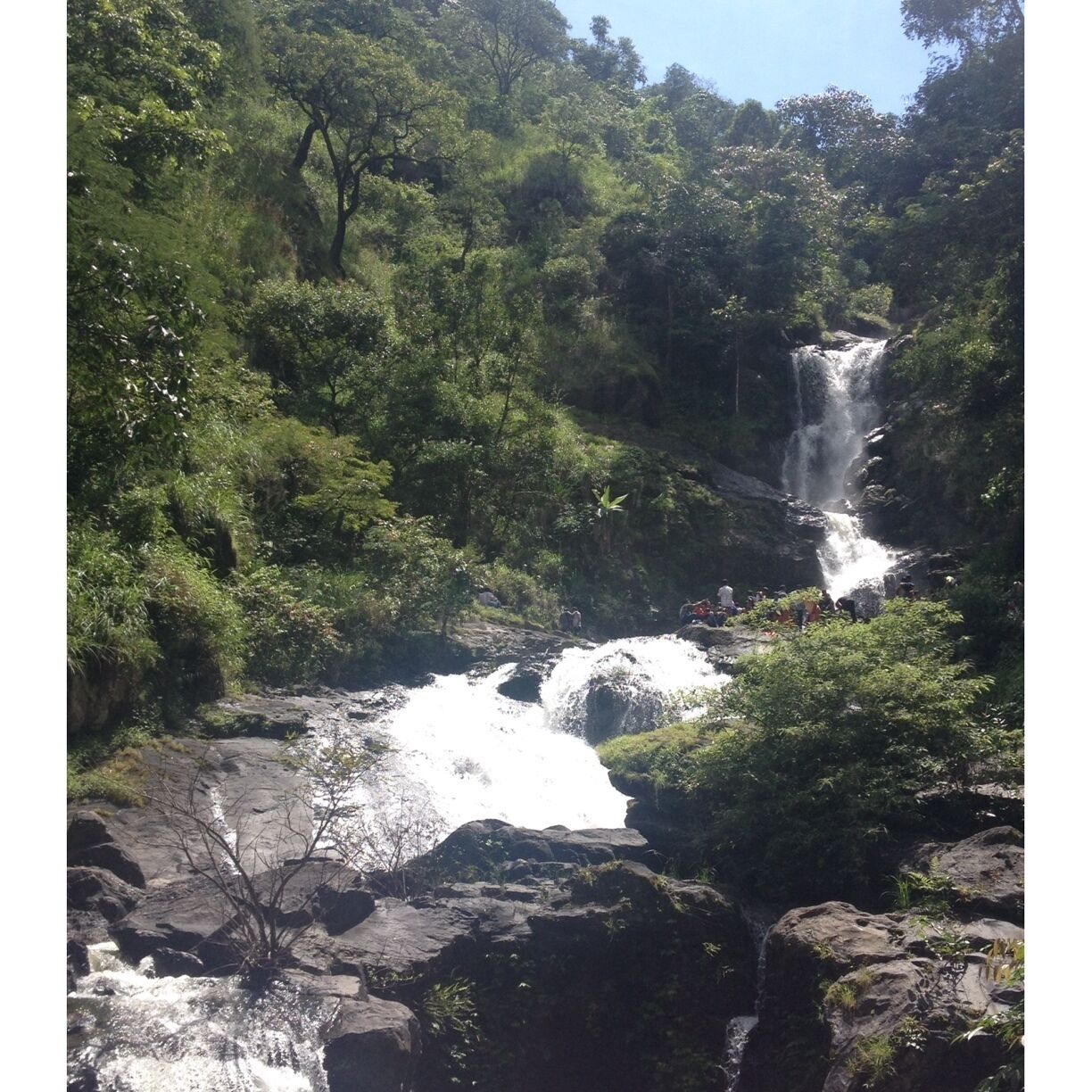 A waterfall cascading over rocks surrounded by lush greenery.