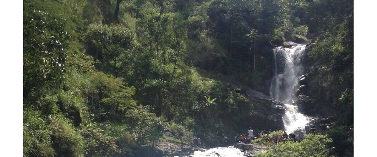 A waterfall cascading over rocks surrounded by lush greenery.