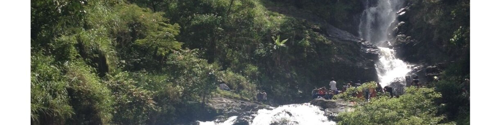 A waterfall cascading over rocks surrounded by lush greenery.