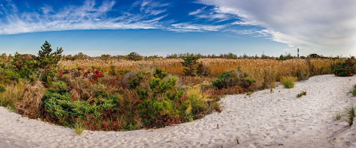 Panoramic view of Fire Island National Seashore in Fall with the Lighthouse. Long Island, New York