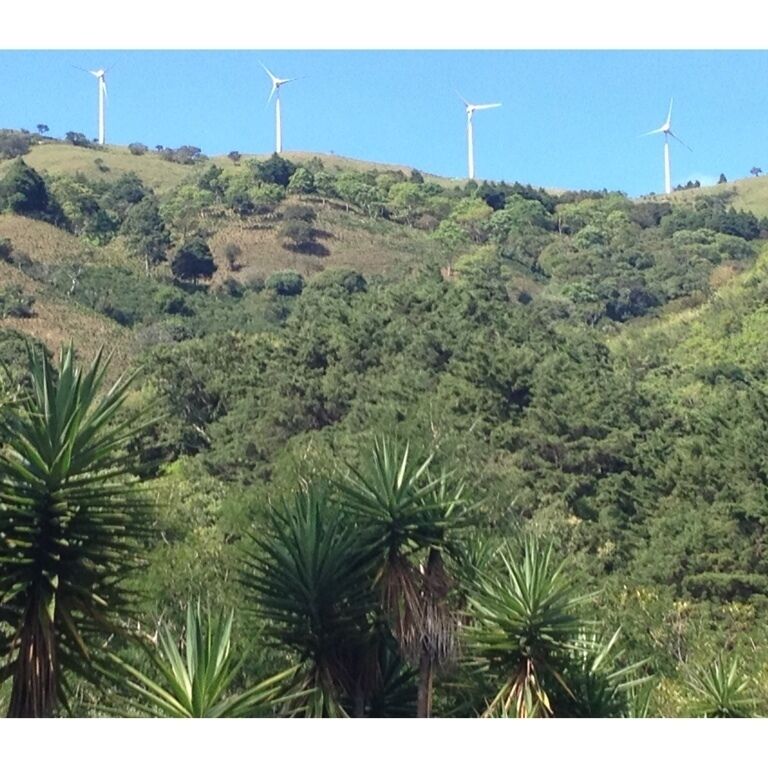 11 is the total number... Got here after a 1:30 uphill trail run/hike