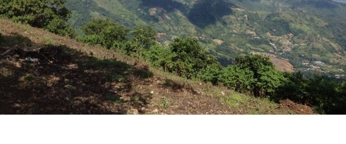 Trail running @ escazu, costa rica