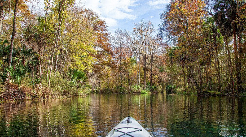 Princeton - Silver Star