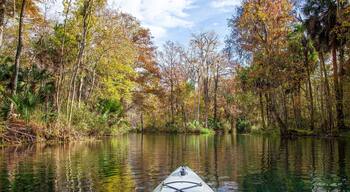 Kayaking on the Silver River in Florida on a beautiful fall day