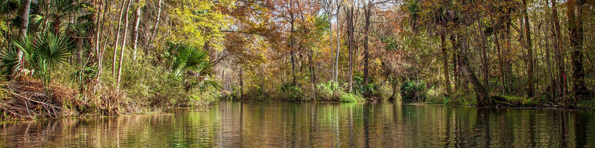 Kayaking on the Silver River in Florida on a beautiful fall day