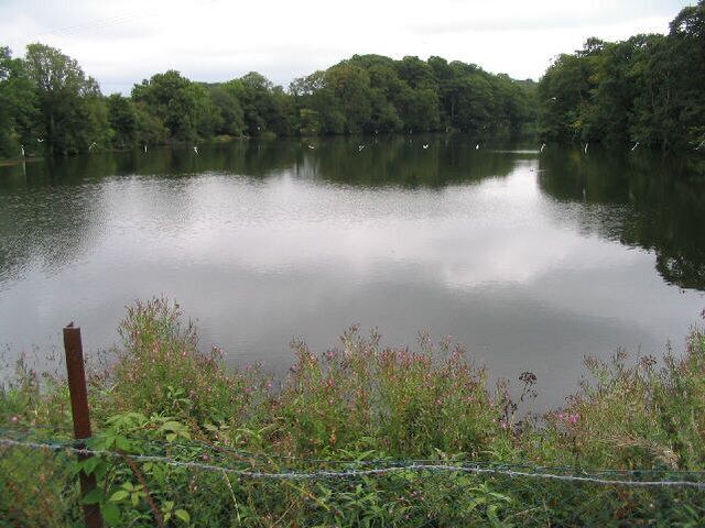 A calm lake surrounded by dense trees and a fence in the foreground.