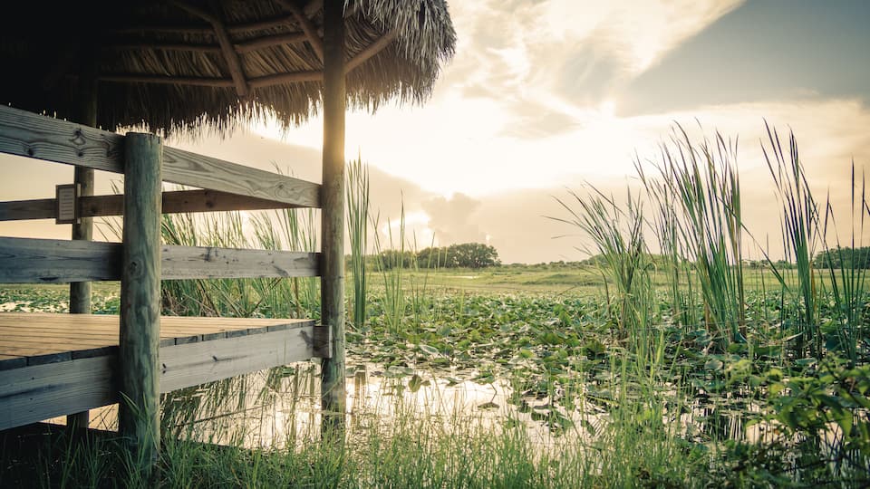 Landschaft Everglades National Park Louisiana, Florida