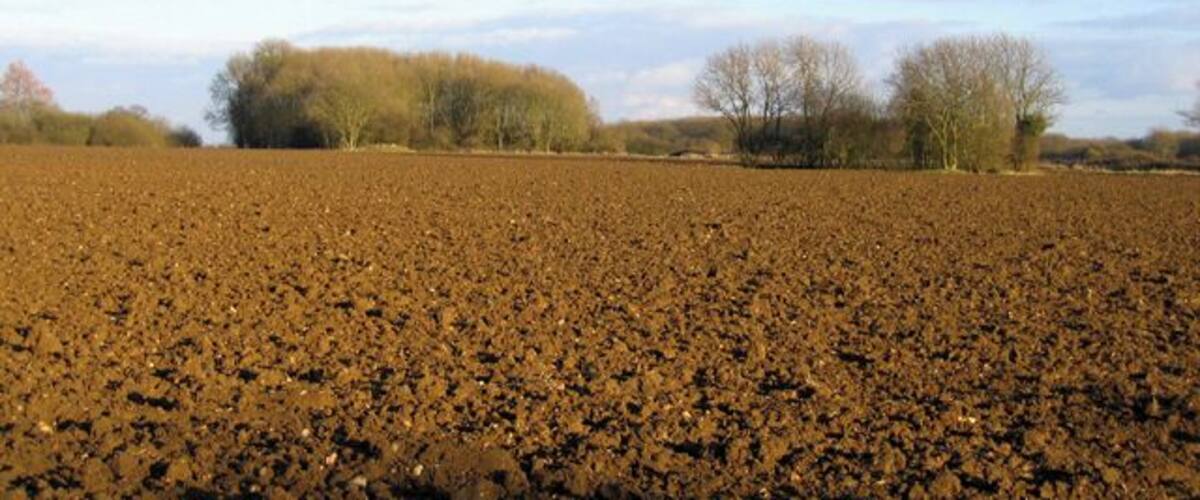 A plowed field with trees in the background.