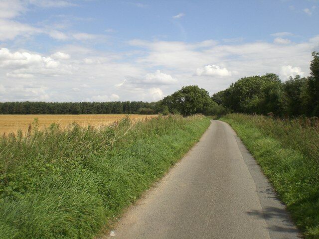 Lane towards West Raynham With Langton Green Wood on the left, this lane connected the former RAF West Raynham airfield with the village. See http://www.raf.mod.uk/bombercommand/s32.html.