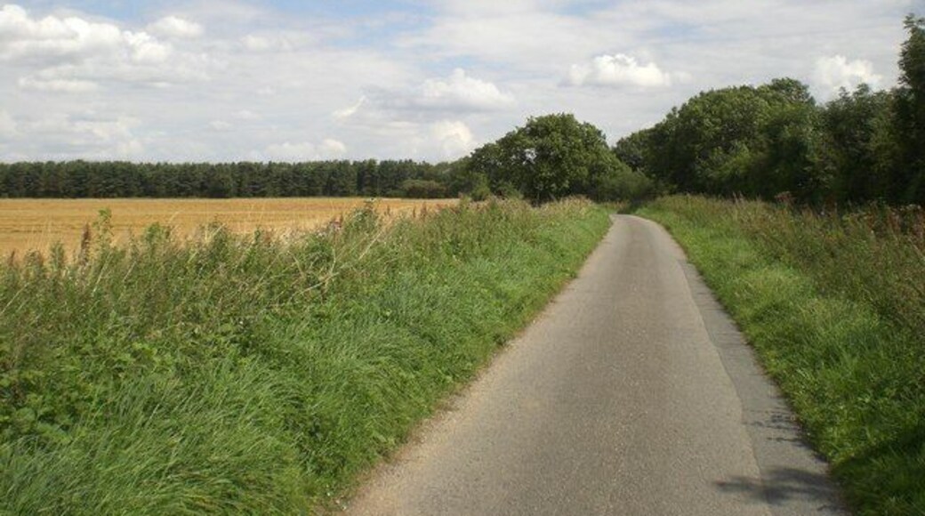 Lane towards West Raynham With Langton Green Wood on the left, this lane connected the former RAF West Raynham airfield with the village. See http://www.raf.mod.uk/bombercommand/s32.html.