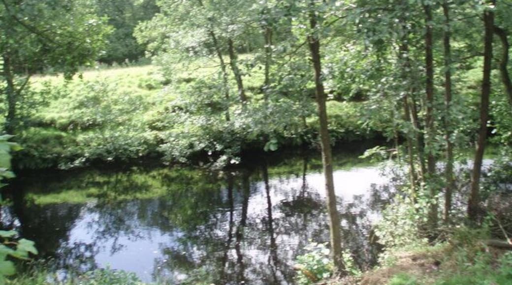 River Nidd