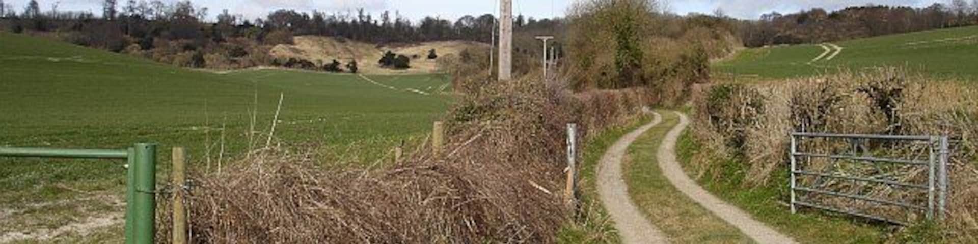 Track to Frogs Hole. From the Pilgrim's Way / North Downs Way just east of Hollingbourne. The house itself may be seen in 19759.
