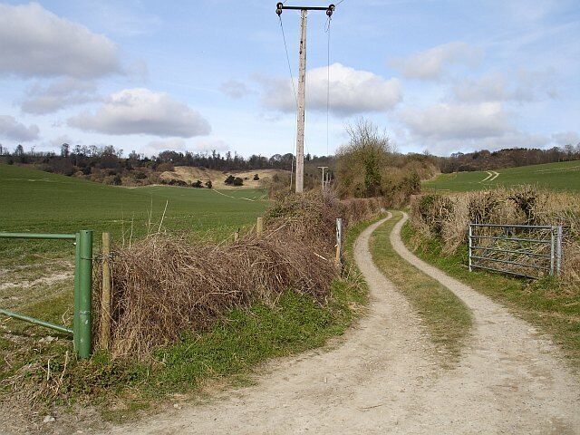 A rural dirt path leading to a gate, surrounded by fields and a utility pole.